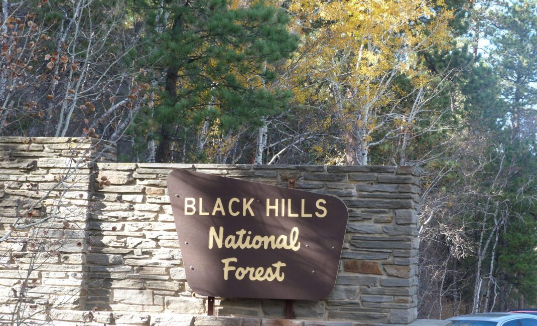 72 SD Black Hills NF
