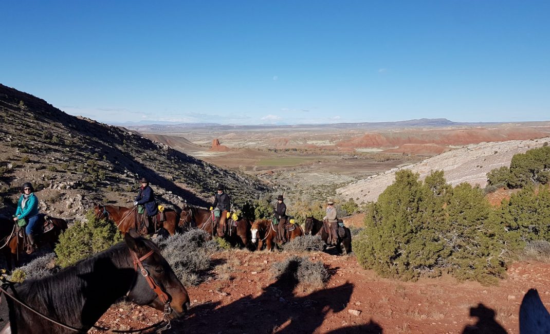 91 Hideout horses panorama