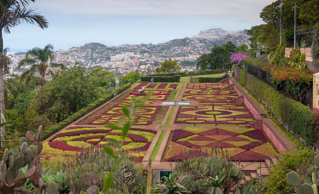 botanische tuin Funchal211